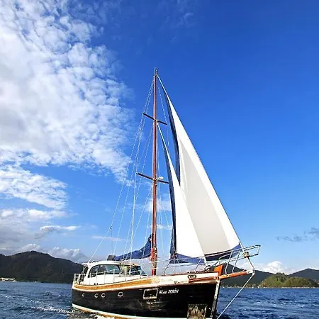 Marti Hemithea * Orhaniye