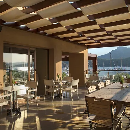 Marti Hemithea * Orhaniye