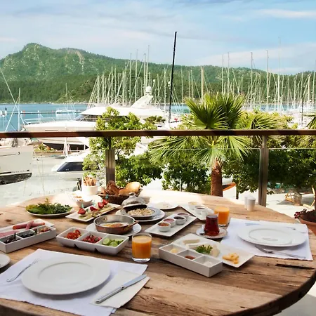 Marti Hemithea * Orhaniye